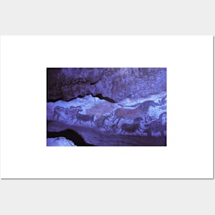 Lascaux cave paintings (E448/0114) Posters and Art